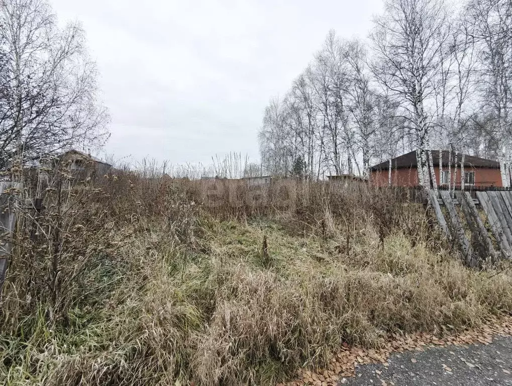 Участок в Тюменская область, Тюмень Лаванда садовое товарищество, ул. ... - Фото 1