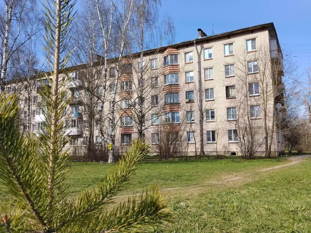 1-к кв. Ленинградская область, Ломоносовский район, Лаголовское с/пос, ... - Фото 1