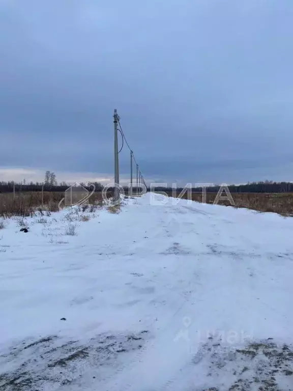 Участок в Тюменская область, Тюменский район, с. Горьковка  (6.58 ... - Фото 1