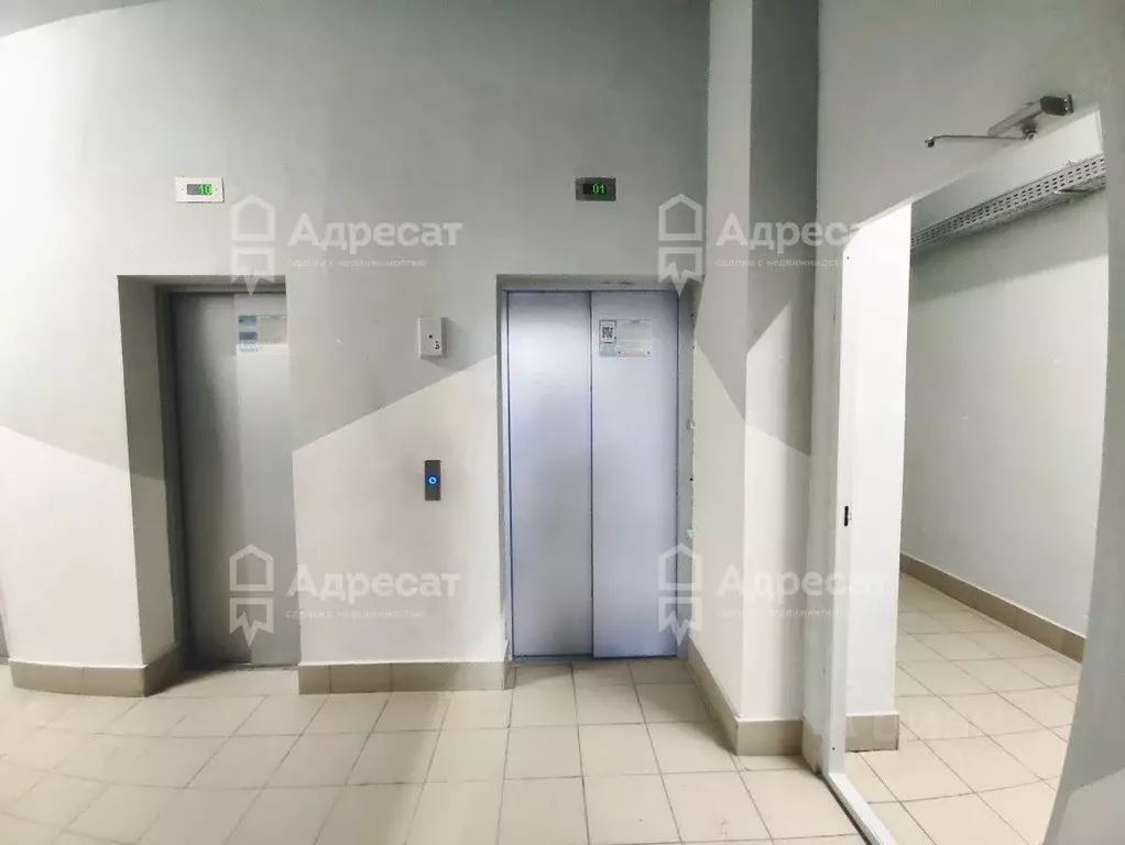 1-к кв. Волгоградская область, Волгоград ул. Гаря Хохолова, 4 (37.0 м) - Фото 2