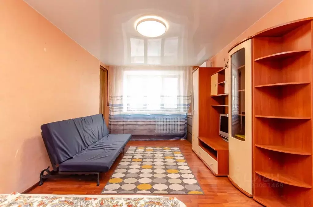 1-к кв. Новосибирская область, Новосибирск ул. Революции, 7 (32.5 м) - Фото 2