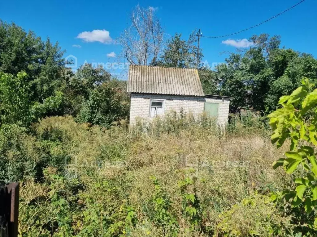 Дом в Волгоградская область, Волгоград Золотая Осень СНТ, ул. 2-я ... - Фото 2