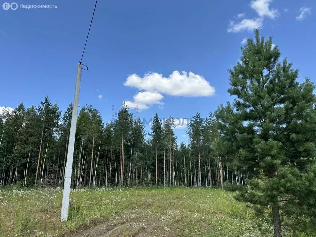 Участок в Медведевский район, Сидоровское сельское поселение, деревня ... - Фото 1