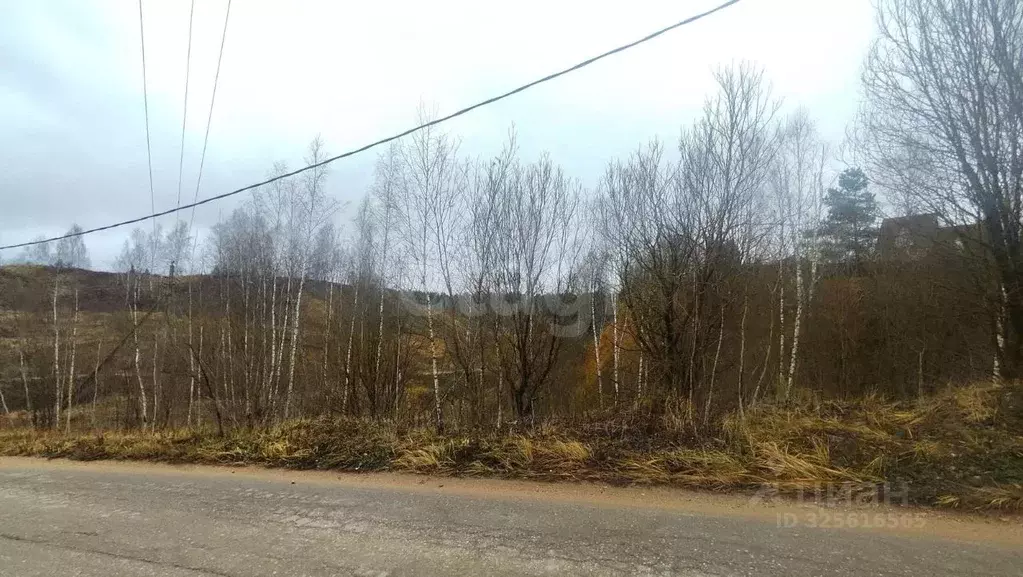 Участок в Московская область, Рузский муниципальный округ, д. ... - Фото 1