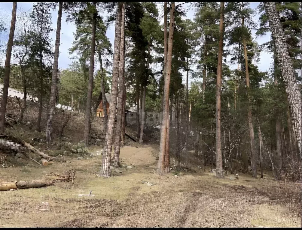 Земельные участки архызе. Шуховская башня на Оке Дзержинск. Шуховские башни на Оке. В лесах Брянской области введен особый противопожарный режим.