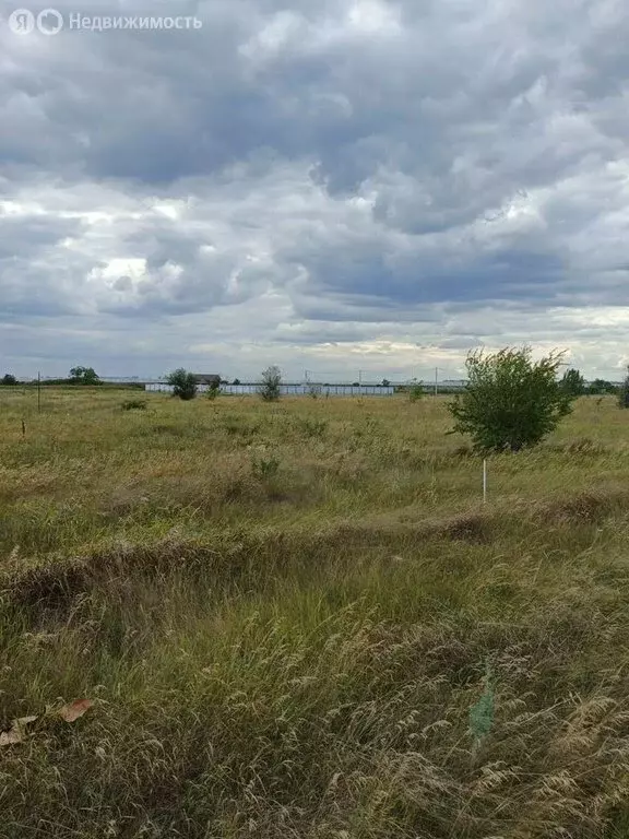 Участок в Ольгинское сельское поселение, хутор Махин (8 м) - Фото 1