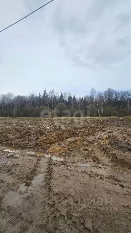 Участок в Москва Дубрава парк кп, 91 (11.31 сот.) - Фото 1