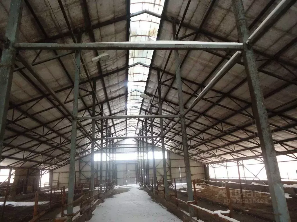 Производственное помещение в Белгородская область, Белгородский район, ... - Фото 1