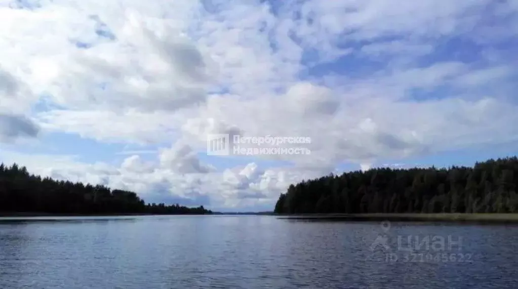 Участок в Ленинградская область, Лужский район, Осьминское с/пос, д. ... - Фото 1