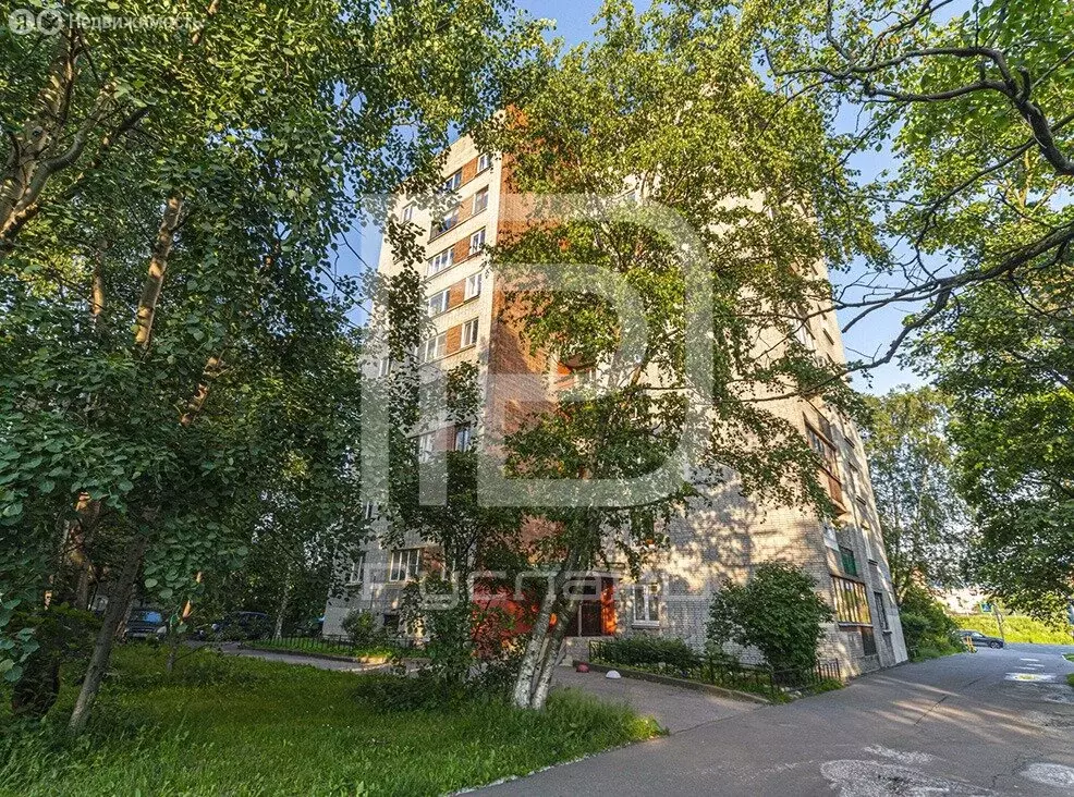 2-комнатная квартира: Санкт-Петербург, проспект Шаумяна, 58 (46.5 м) - Фото 0