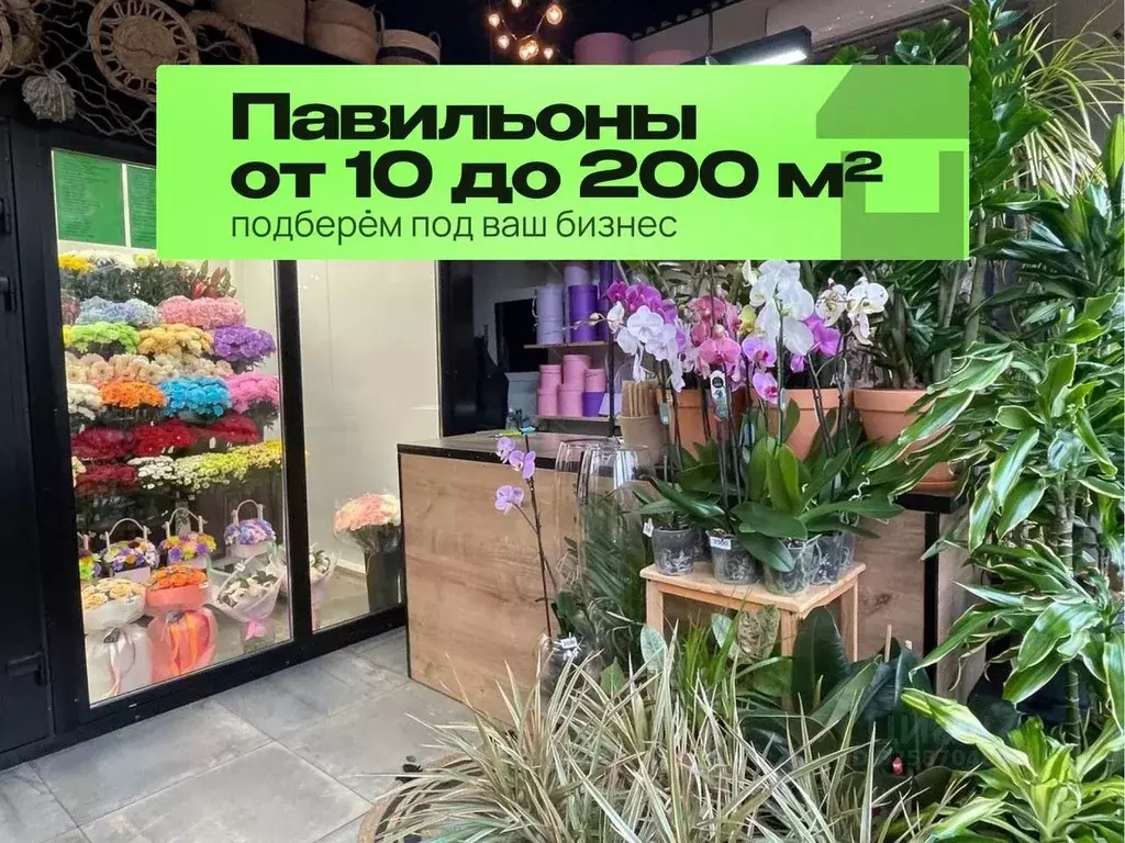 Торговая площадь в Московская область, Чехов ул. Уездная, 19Б (25 м) - Фото 1