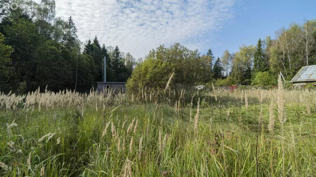 Участок в Наро-Фоминский городской округ, садоводческое некоммерческое ... - Фото 0