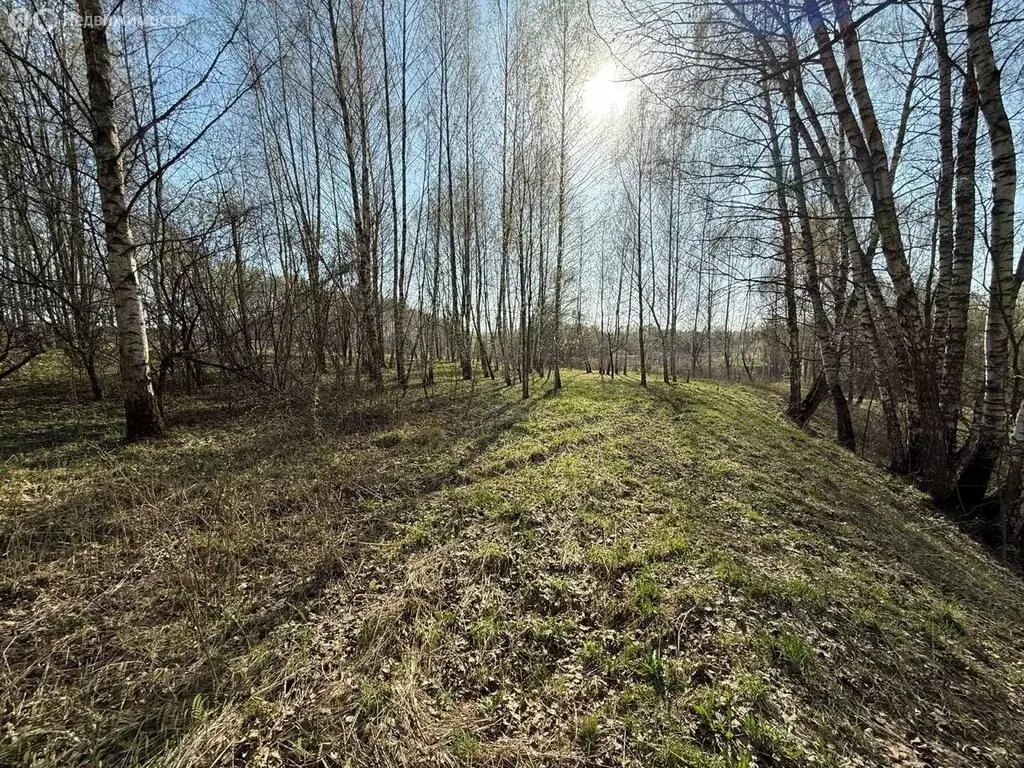 Участок в деревня Спасское, Спасское кладбище (107 м) - Фото 0