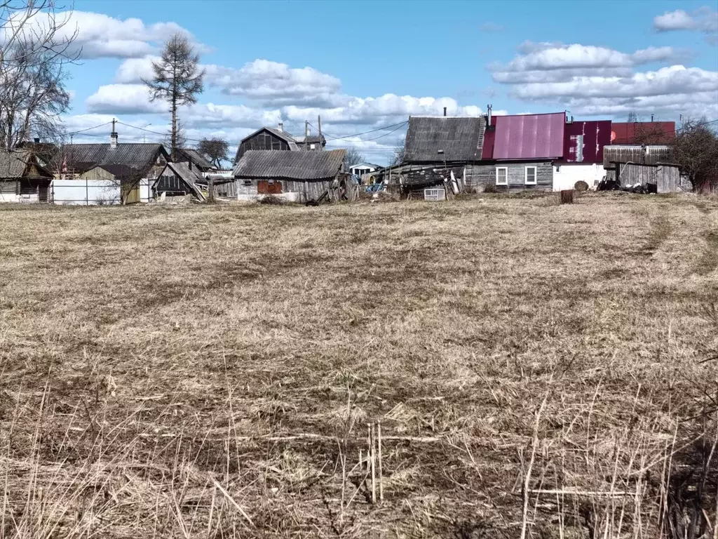 Участок в Ленинградская область, Волосовский район, Рабитицкое с/пос, ... - Фото 1