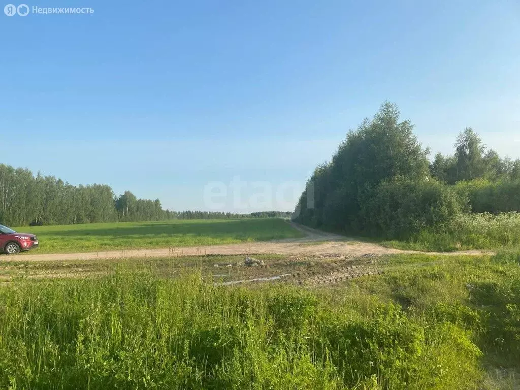 Участок в Ярославский муниципальный округ, деревня Глухово (14.43 м) - Фото 2