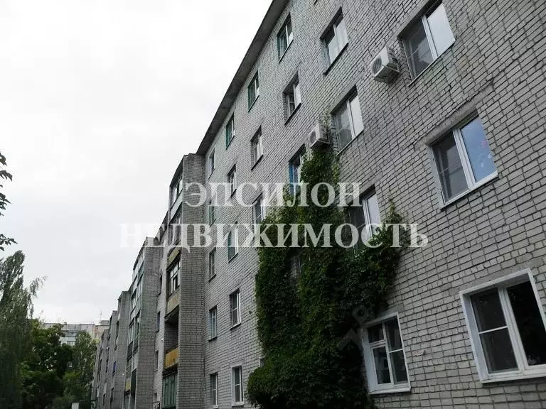 Менделеева 36. Менделеева 36 Курск. Менделеева 51 Курск. Минск Менделеева 36. Менделеева 9/5 Курск.
