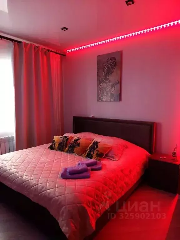 Студия Ленинградская область, Кингисепп ул. Воровского, 50к2 (31.0 м) - Фото 1