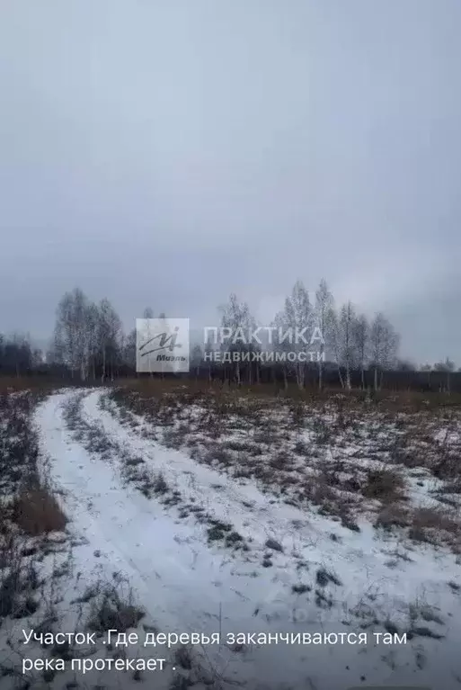Участок в Московская область, Ступино городской округ, с. Старая Ситня ... - Фото 1
