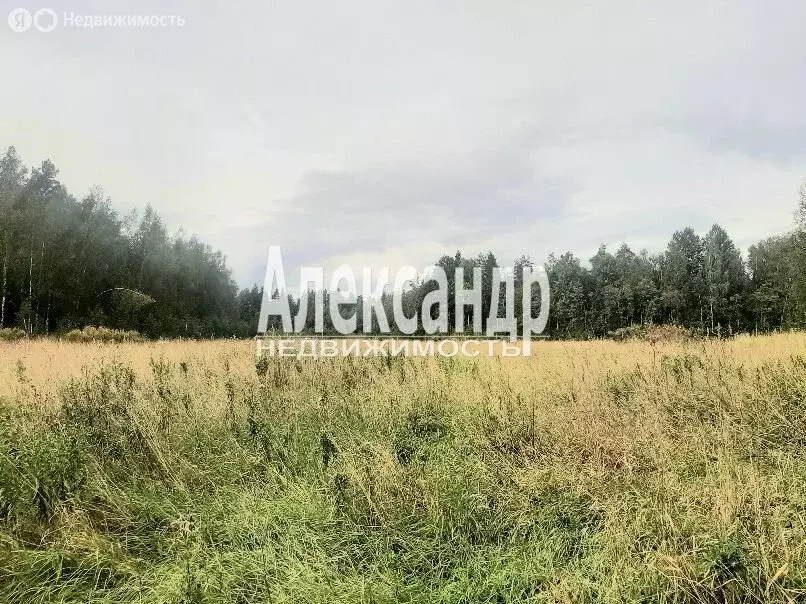 Участок в Мельниковское сельское поселение (337 м) - Фото 1