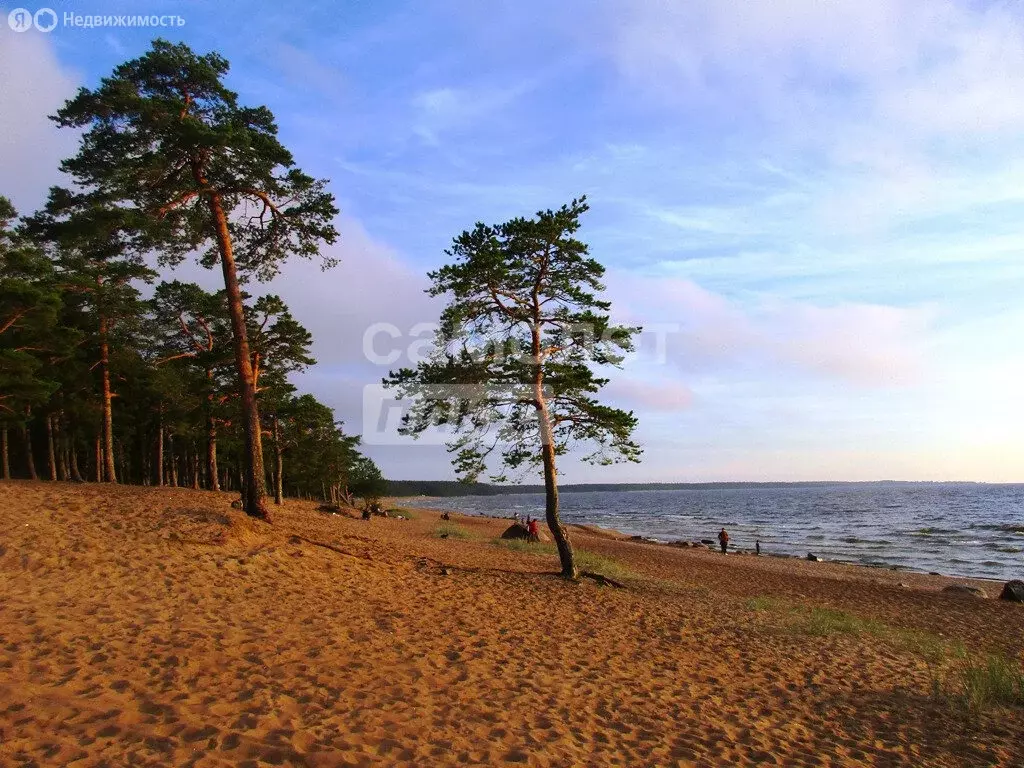 Участок в Нижегородская область, Городецкий муниципальный округ, ... - Фото 1
