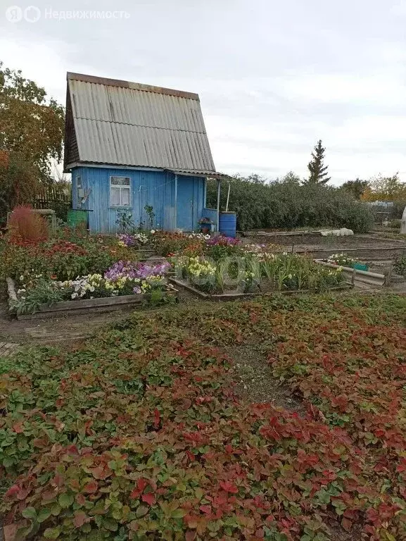 Участок в Курган, СНТ Озеро Бездонное (8 м) - Фото 1