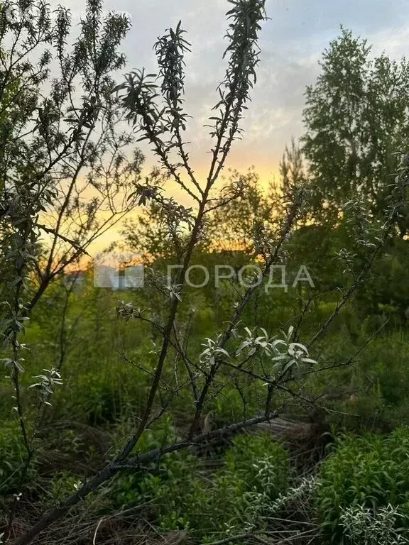 Участок в посёлок Октябрьский, КП Заречный, Весенняя улица, 165 (11.97 ... - Фото 0