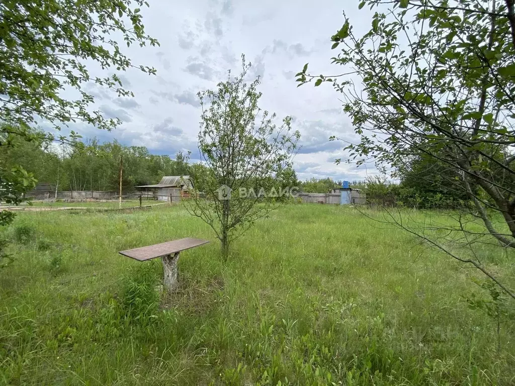 Участок в Воронежская область, Рамонский район, Новоживотинновское ... - Фото 1