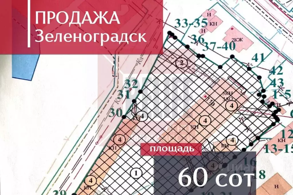 Производственное помещение в Калининградская область, Зеленоградск ул. ... - Фото 1