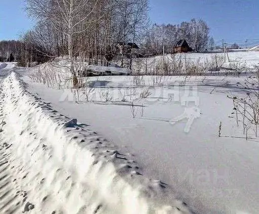 Участок в Новосибирская область, Новосибирский район, Новолуговской ... - Фото 0