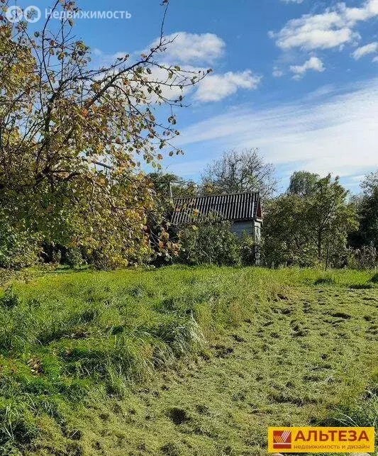 Участок в Пионерский, СНТ Пограничное, 174 (3.5 м) - Фото 2