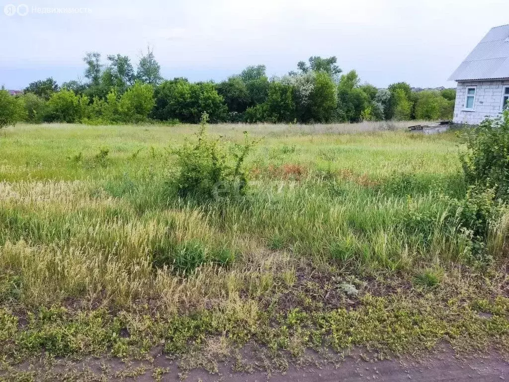 Участок в Белгород, микрорайон Юго-Западный-2.2 (10 м) - Фото 2