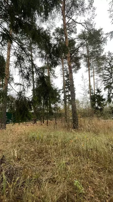 Продается участок в д. Поповка - Фото 2