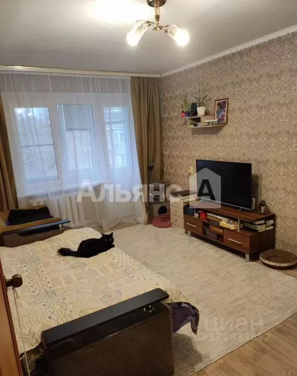 1-к кв. Ростовская область, Каменск-Шахтинский просп. Карла Маркса, ... - Фото 2