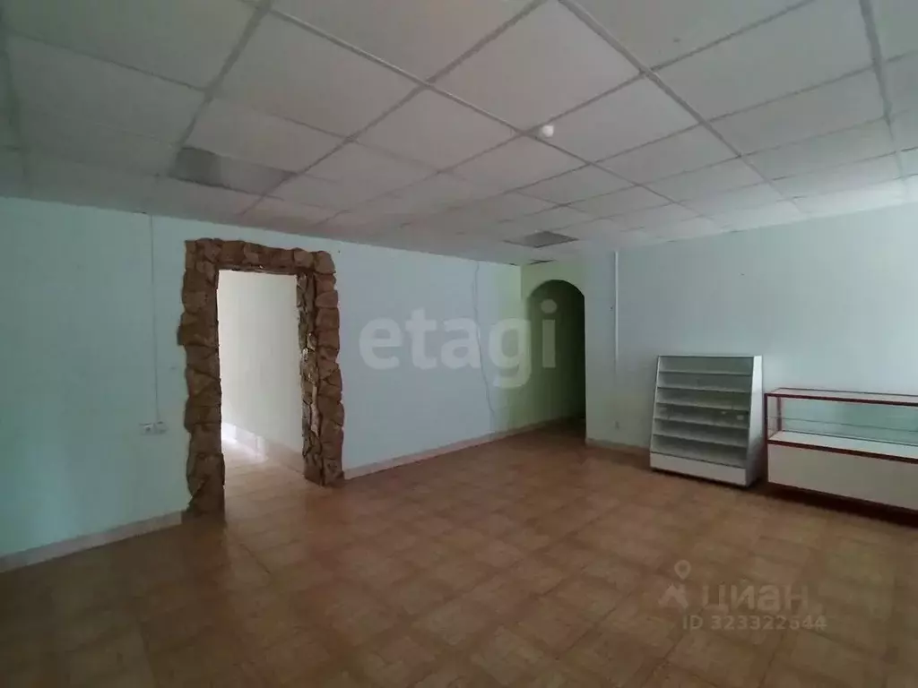 Помещение свободного назначения в Саратовская область, Петровск ул. ... - Фото 2