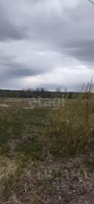 Участок в Свердловская область, Нижний Тагил ул. Жданова (9.8 сот.) - Фото 2