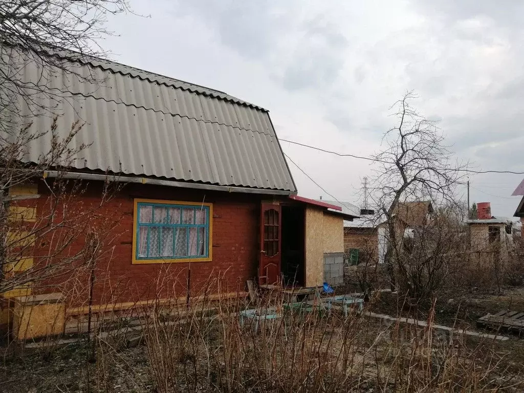 Дом в Омская область, Омск СОСН Березка-3 тер., аллея 7-я (56 м) - Фото 1