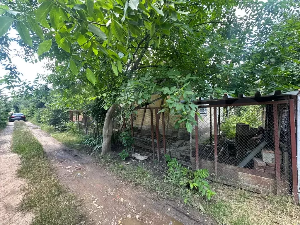 Участок 6 сот. (СНТ, ДНП) - Фото 1