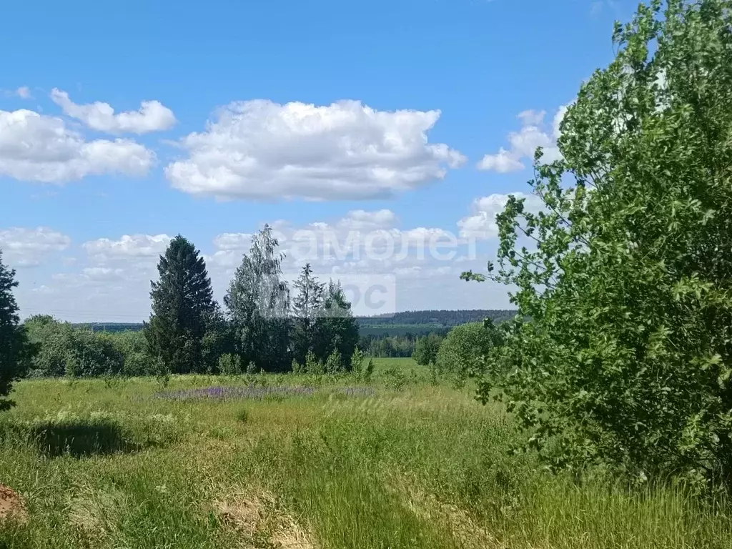 Участок в Удмуртия, Завьяловский район, д. Шудья ул. Объездная, 29 ... - Фото 0