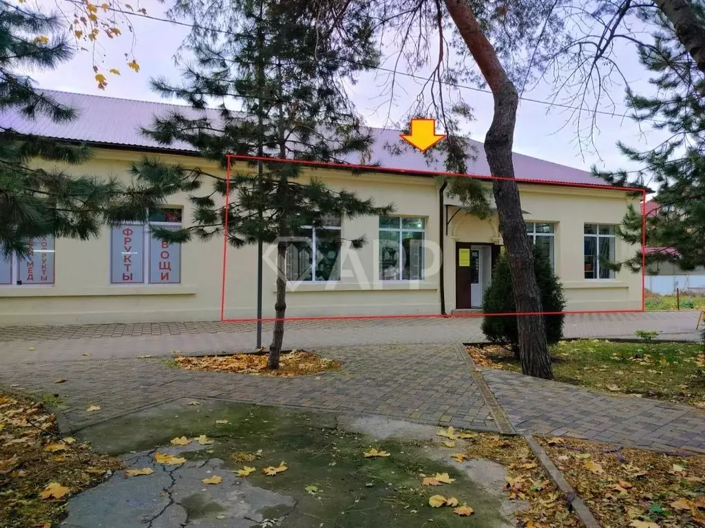 Помещение свободного назначения в Краснодарский край, Анапа Крепостная ... - Фото 0