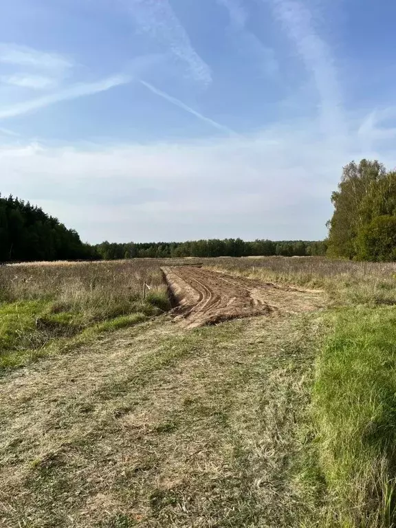Участок в Московская область, Раменский муниципальный округ, Опушкино ... - Фото 1