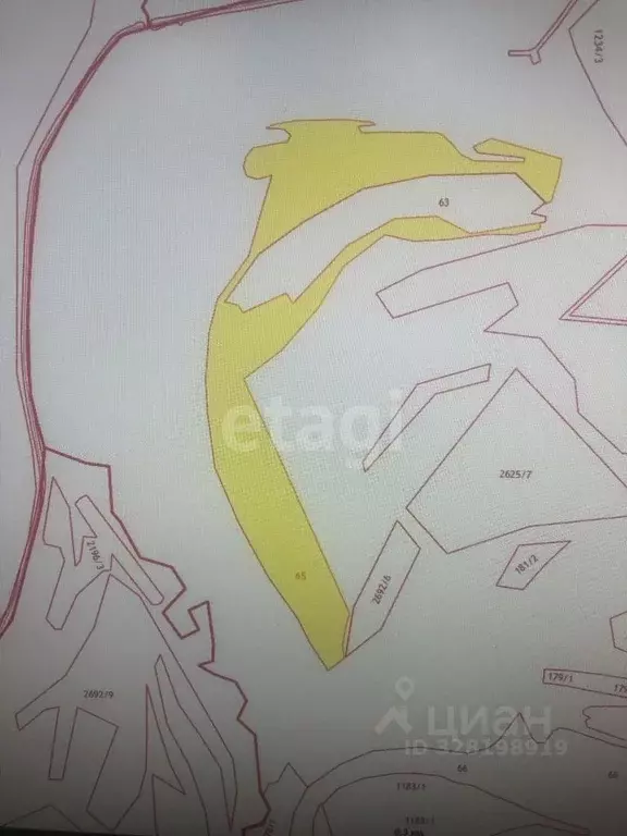 Участок в Амурская область, Бурейский муниципальный округ, с. ... - Фото 1