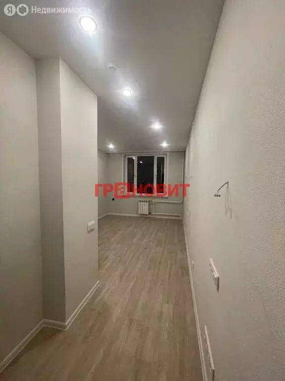 Квартира-студия: Новосибирск, улица Кирова, 113/2 (20.3 м) - Фото 1