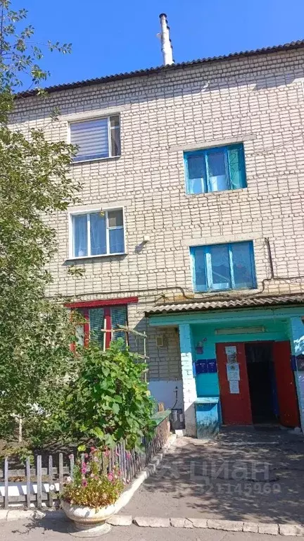 1-к кв. Воронежская область, с. Репьевка ул. Мира, 31 (42.6 м) - Фото 0