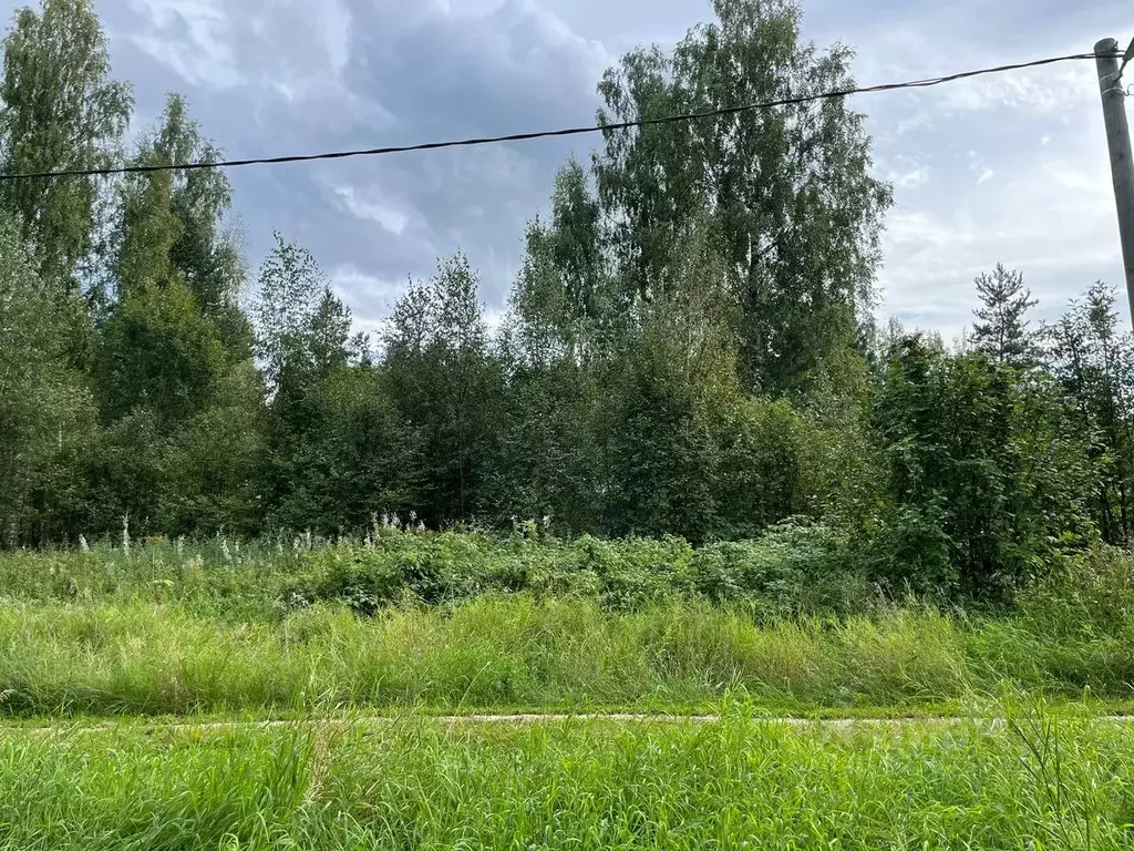 Участок в Ленинградская область, Кингисеппский район, Куземкинское ... - Фото 2