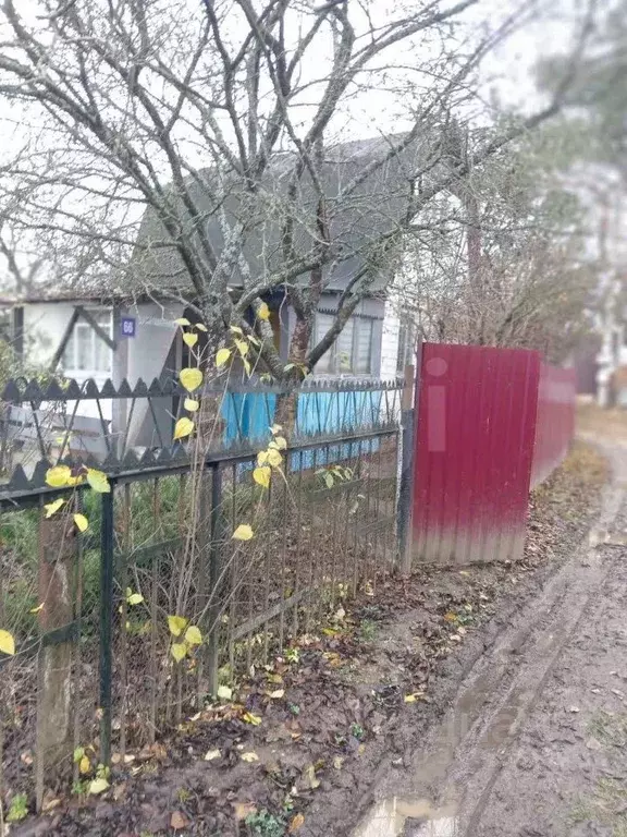Дом в Калужская область, Калуга Здоровье-2 СНТ, 66 (48 м) - Фото 2