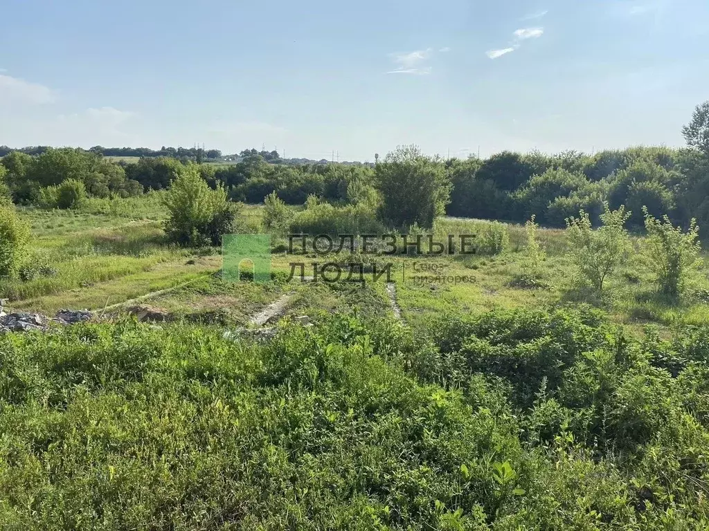 Участок в Белгородская область, Строитель Яковлевский городской округ, ... - Фото 0