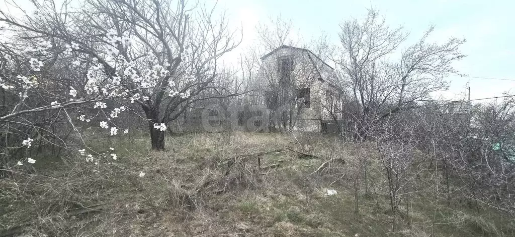 Дом в Трудовое, СНТ СТ Цветовод (70 м) - Фото 2