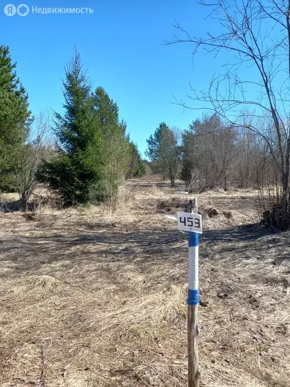 Участок в Вологодская область, Сокольский муниципальный округ, деревня ... - Фото 1