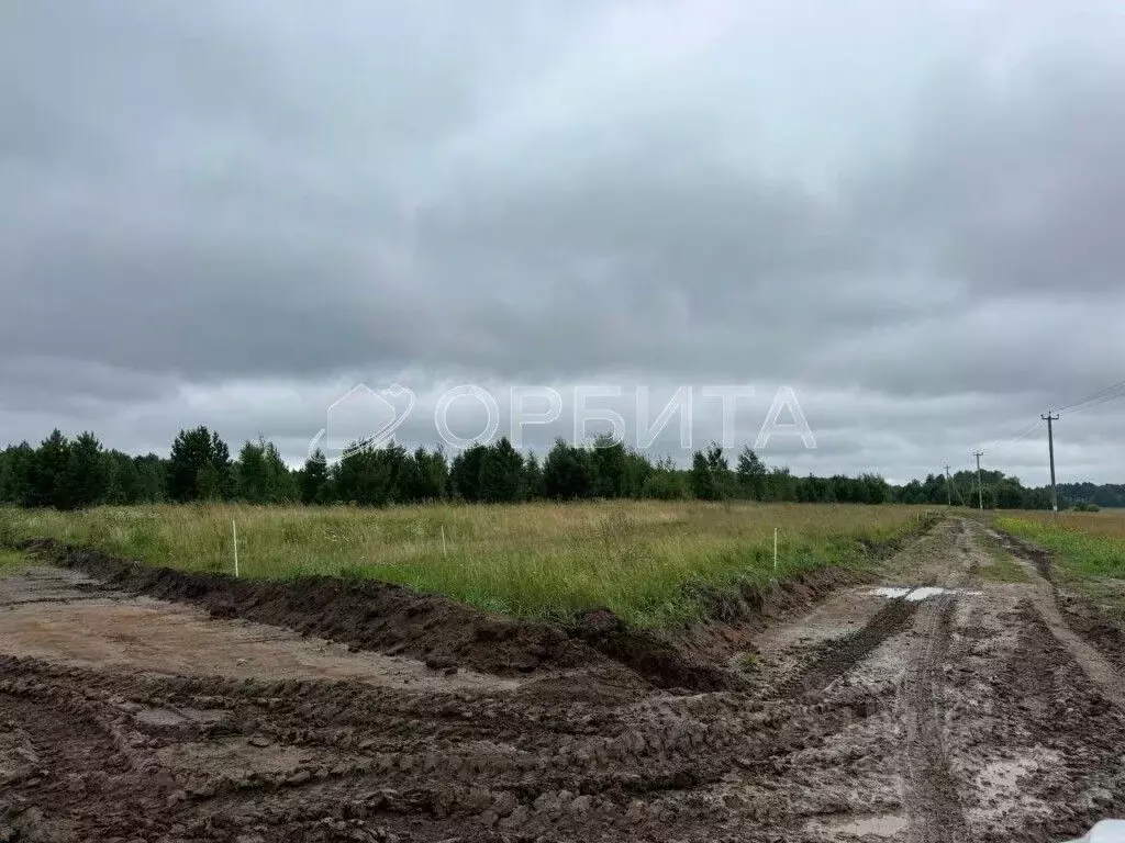 Участок в Тюменская область, Тюменский район, с. Успенка ул. ... - Фото 1