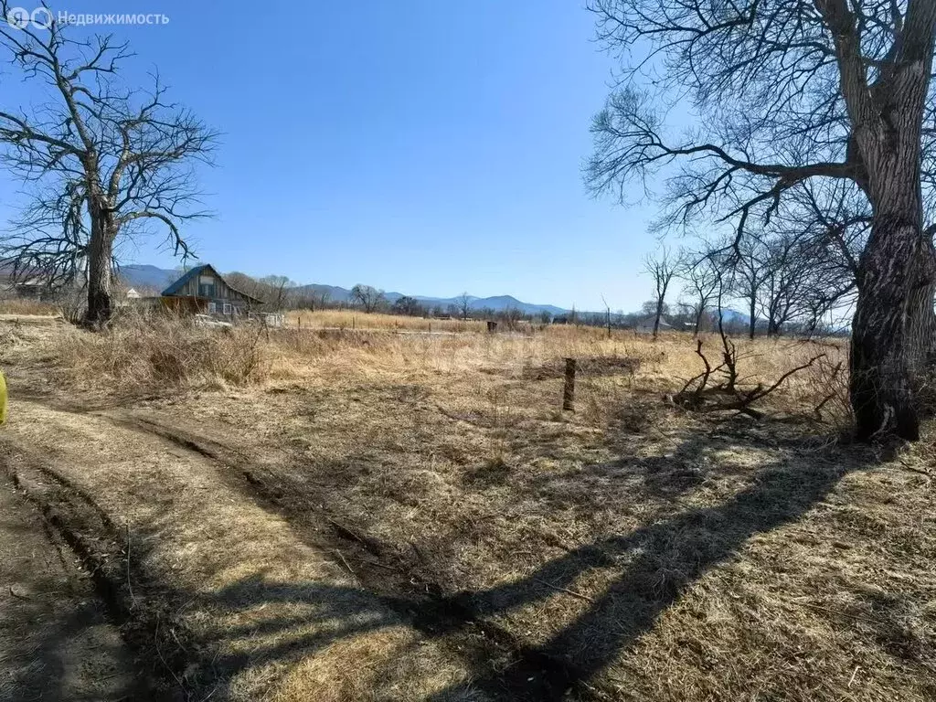 Участок в Приморский край, Анучинский муниципальный округ, село ... - Фото 0